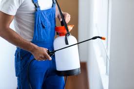 Best Fumigation Services  in Wayzata, MN